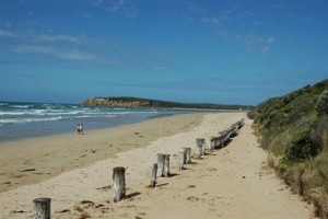 Beach heroes sought