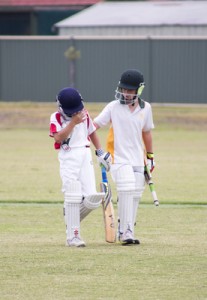 Cobras tamed by Swans