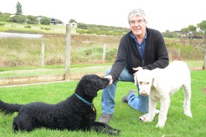 Owner fears for dogs in danger