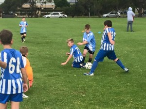 Strong turnout for MiniRoos