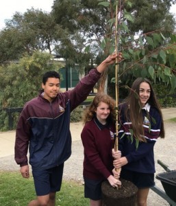 A helping hand for nature