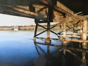 Arts’ leading lights