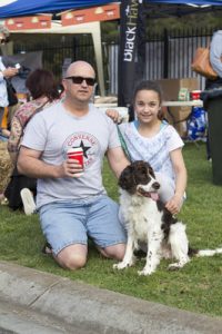 Dogs in big day out