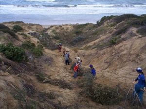 Damage to dunes hits us all