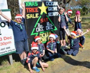 Scouts ready to raise the stakes for Christmas