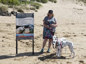 Man’s best friend on the beach