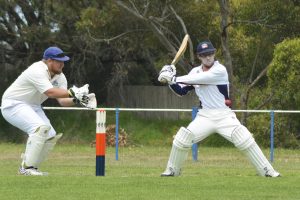 Cobras poised and ready to strike