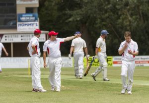 Hallam leads Hawk recovery over Grubs