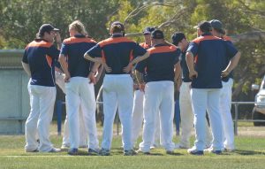 Cobras head to T20 semi showdown