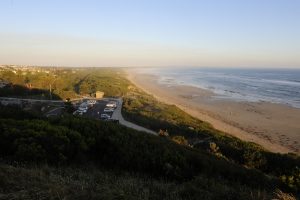 Shark fears close beach