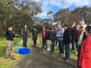 Help estuary come clean
