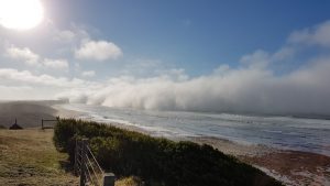 It came from the sea …