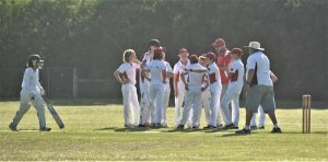 Seagulls too good for Grubbers