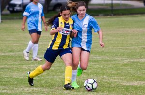 Bassi stars in Waves’ win