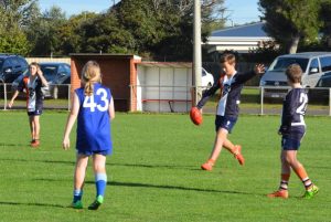 Young Cobras hit the field
