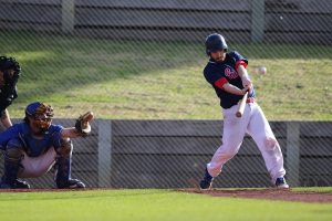 Claws out as Lions overpower Bears