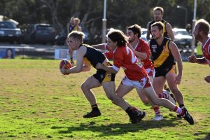Tigers make mincemeat of Grubbers