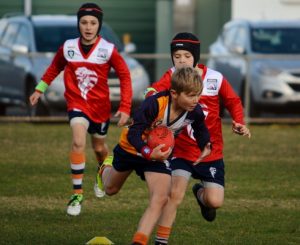Mixed bag for young Cobras