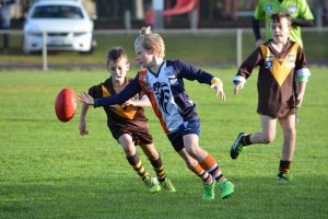 Great results for Cobras