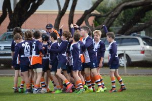 Good results for Cobras