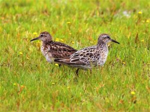 Slow, soggy start to spring