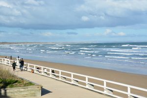 Voice of the coast