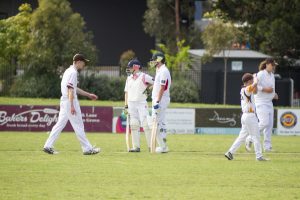 Great start to season by Cobras