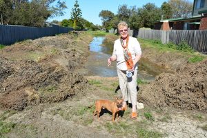 Works will end storm woes