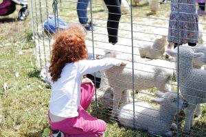 Bellarine’s big day of family fun