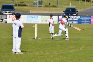 Seagulls too good for Cobras