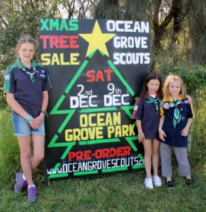 Scouts deliver on promise of Christmas