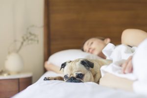 Power outage causes sleepless night