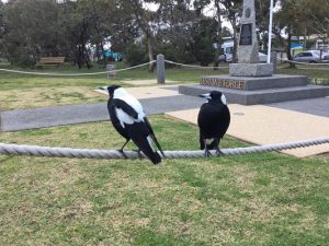 Time for restraint in park?