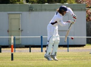 Reigning premiers tame Snakes