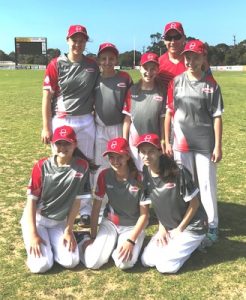 Come and try cricket