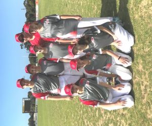 Come and try cricket