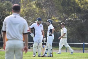 137-run stand see Cobras in a good position