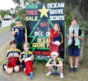 Scouts in Christmas spirit