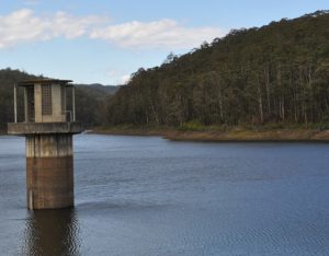 No restrictions for dry summer