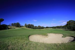 Curlewis rockets up national course rankings