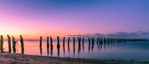 24 hours on the Bellarine