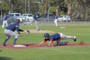 New season kicks off for Bears