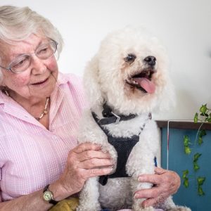 Pets helping seniors