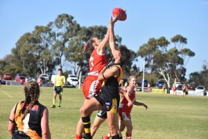 Grovedale proves too good for Grubbers