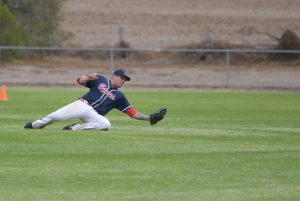 Wins for Bears