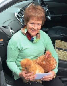 Who would be a rooster?