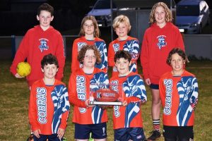 Vic vs NSW origin battle