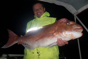 Big snapper back on the bite