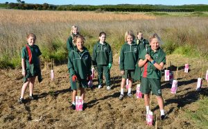 Wetlands in good hands