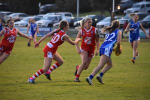 Seagulls prove too good for Grubbers
